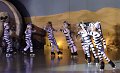 Lionking 0352